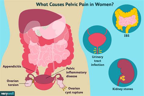 bottom growth|Genital Changes, Periods, and Pelvic Pain in People。